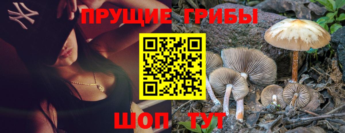 Галлюциногенные грибы мицелий  Вход с VPN  Бугуруслан  Псилоцибиновые грибы Cubensis 